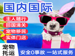 胶东航空空运国际宠物托运 【国